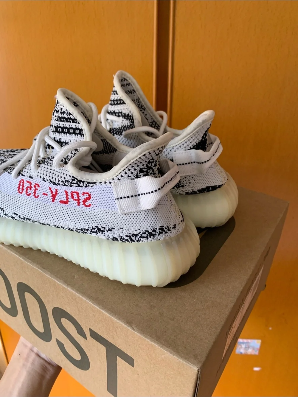 Yeezy new never